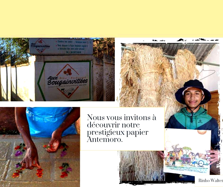 Image of Le papier Antemoro
