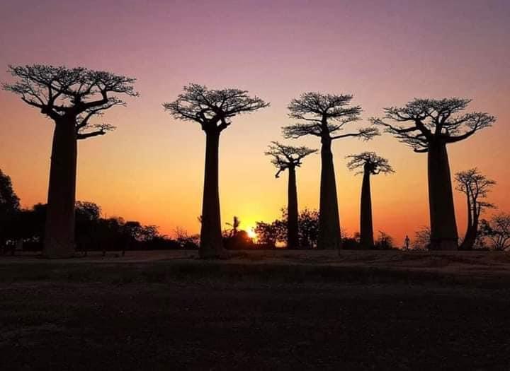 Image taken by Nature & Culture Madagascar