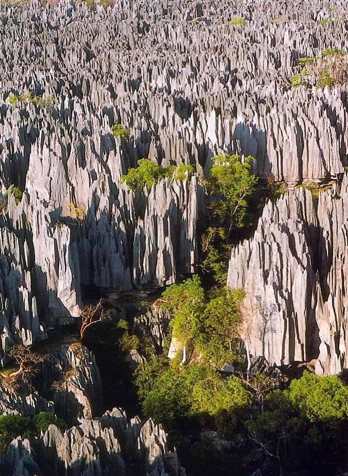 Image of The BEMARAHA National Park